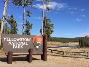 We drove through Yellowstone and saw Old Faithful.